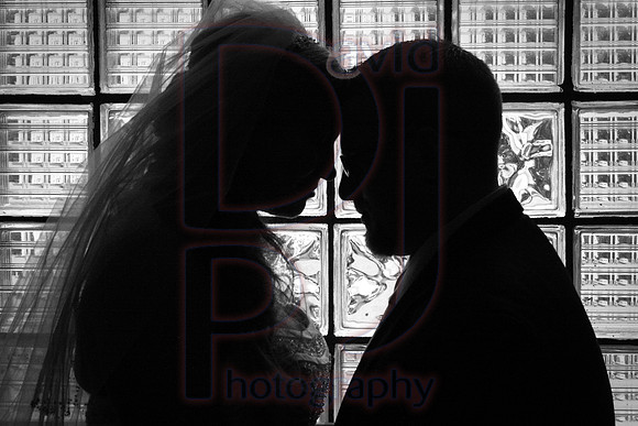 IMG_3100a