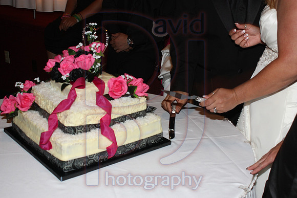 Cassy and Jasons Wedding 2011 (521)