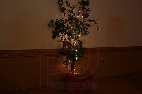 Cassy and Jasons Wedding 2011 (484)