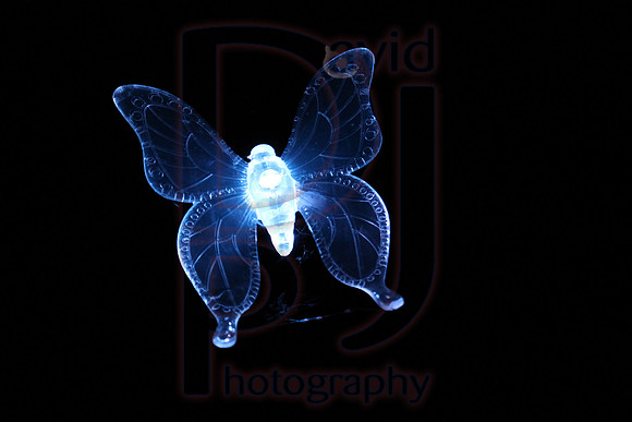 IMG_8661