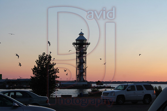 IMG_7952