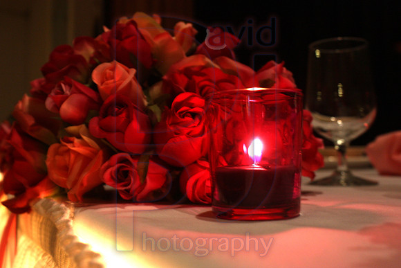 Cassy and Jasons Wedding 2011 (494)