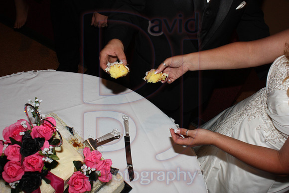 Cassy and Jasons Wedding 2011 (523)