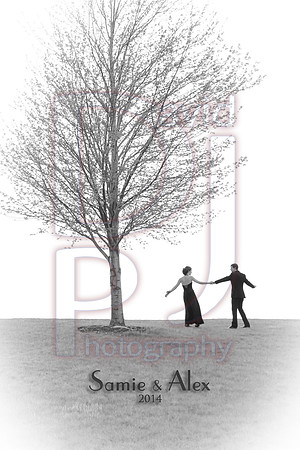 IMG_0213d