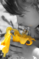 IMG_2774b