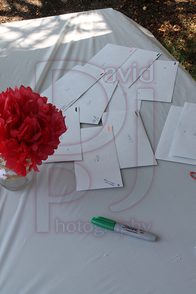 img (3)