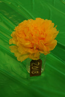 img (8)