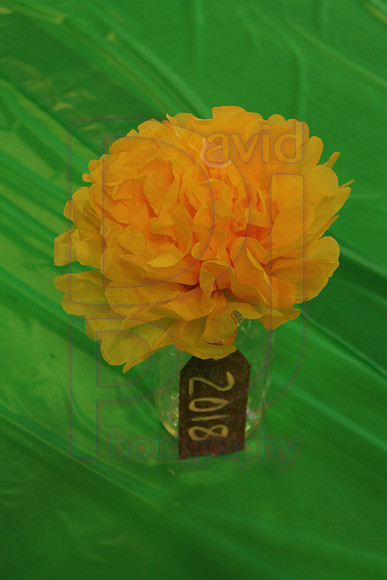 img (8)