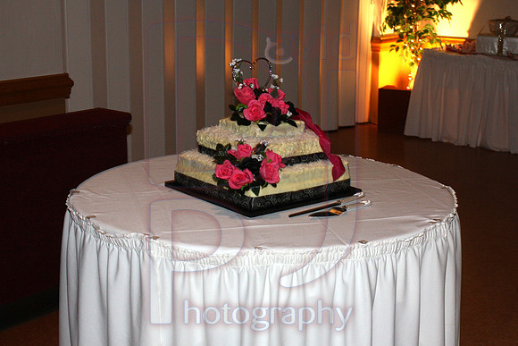 Cassy and Jasons Wedding 2011 (490)
