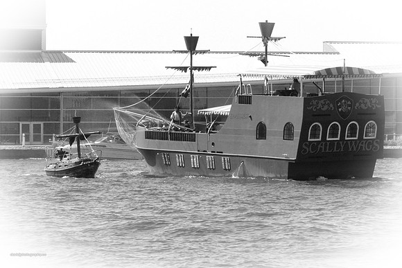IMG_1033 BW