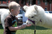 Granny's Petting Zoo