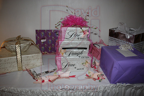 Cassy and Jasons Wedding 2011 (806)
