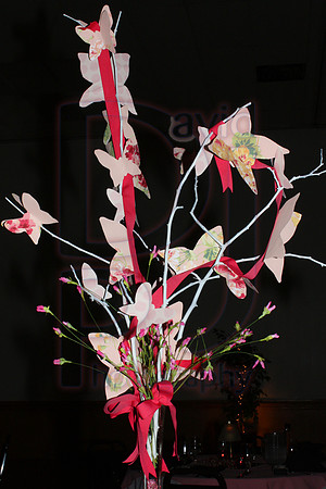 Cassy and Jasons Wedding 2011 (866)
