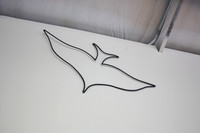 IMG_5906