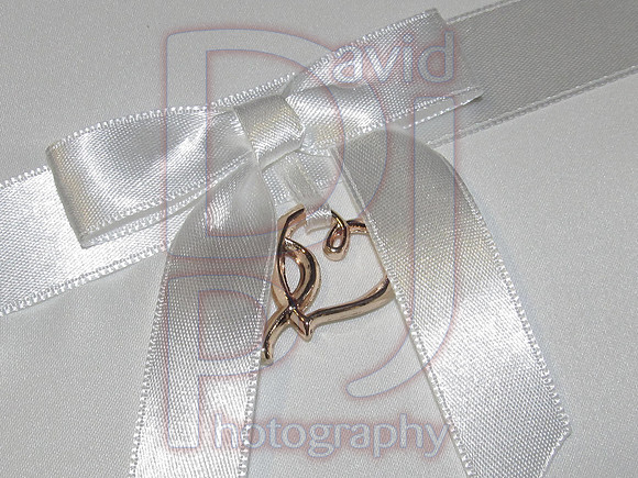 wedding 009a