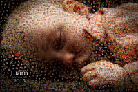 IMG_6010a Mosaic AA