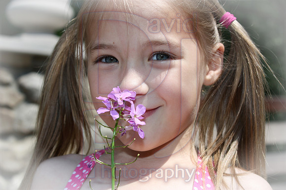 IMG_0326a