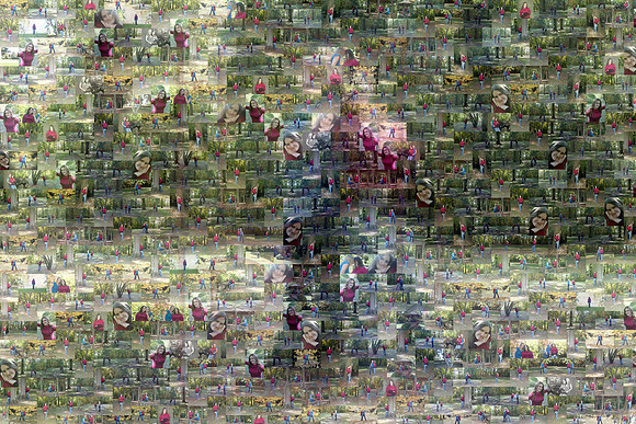 IMG_3858a Mosaic04