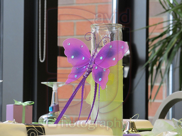wedding 004