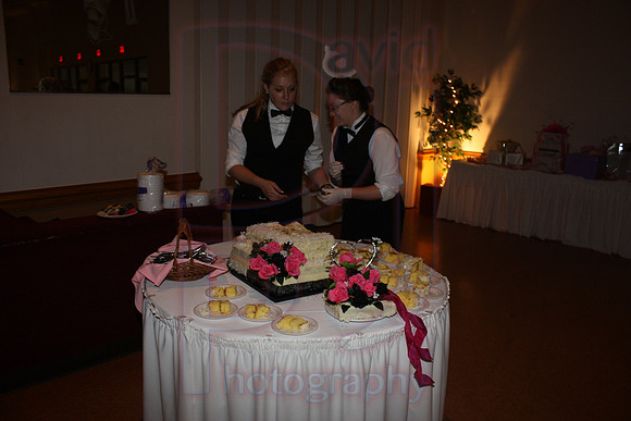 Cassy and Jasons Wedding 2011 (597)