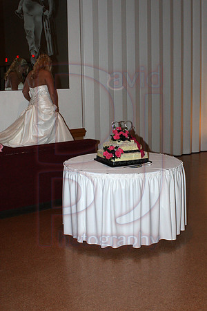 Cassy and Jasons Wedding 2011 (501)