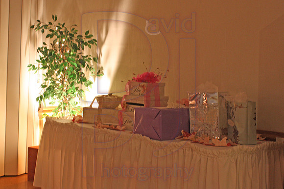 Cassy and Jasons Wedding 2011 (485)