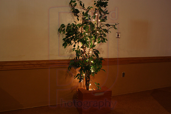 Cassy and Jasons Wedding 2011 (482)