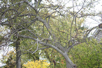 IMG_7190