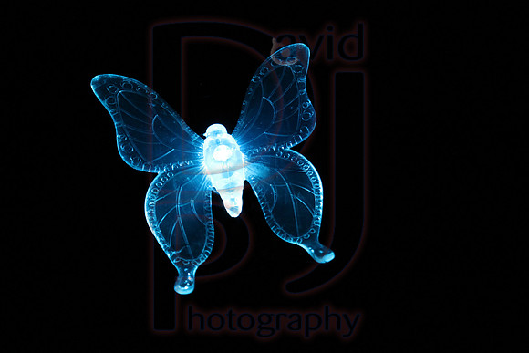 IMG_8662