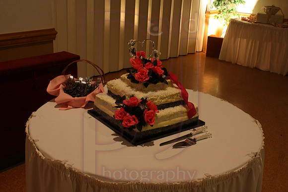Cassy and Jasons Wedding 2011 (486)