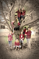 Family 2015