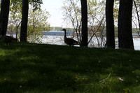 IMG_6227