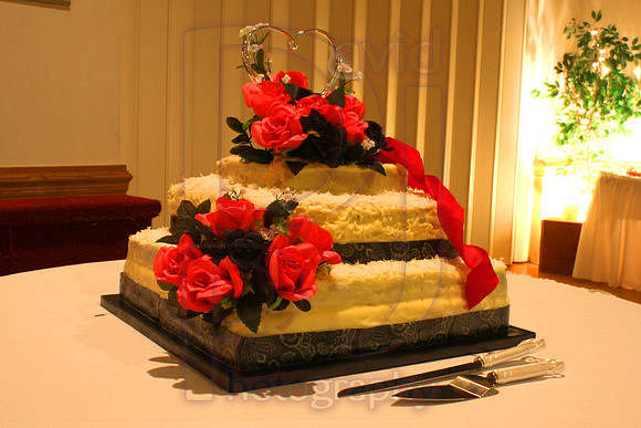 Cassy and Jasons Wedding 2011 (489)