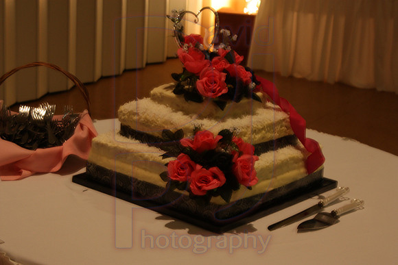 Cassy and Jasons Wedding 2011 (487)