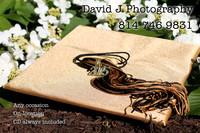 IMG_7278aa