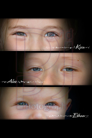 collage 1