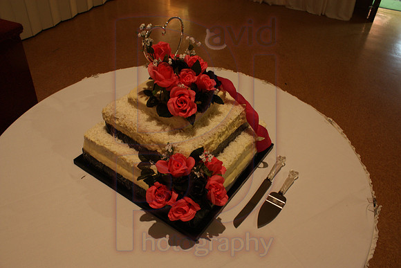 Cassy and Jasons Wedding 2011 (488)