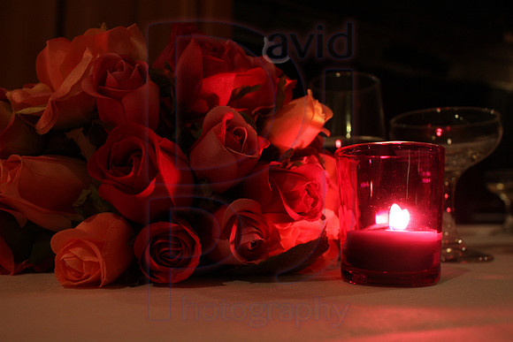Cassy and Jasons Wedding 2011 (768)