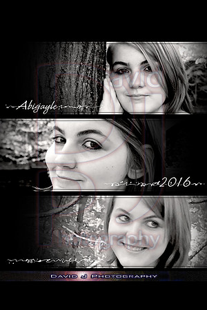 COLLAGE 3up V Abigayle copy